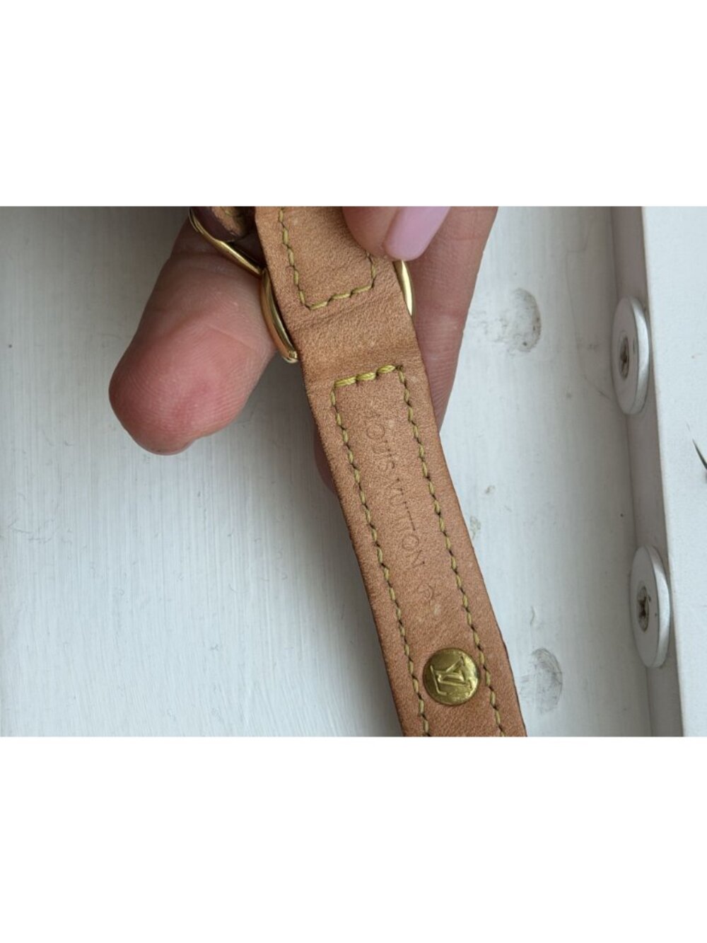 LOUIS VUITTON Baxter PM Dog Collar & Leash Small dog - Picture 3 of 8